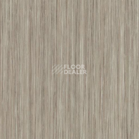 Кварцвиниловые полы Forbo Allura Click 61253CL5 oyster seagrass фото 1 | FLOORDEALER